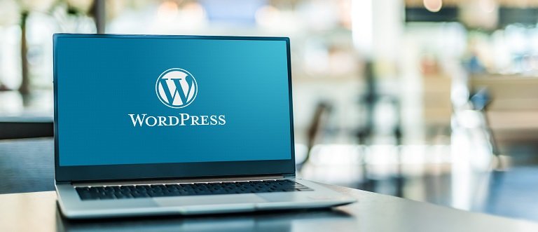 Monitor WordPress Error Logs